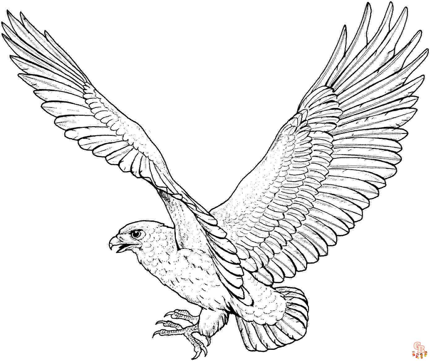 Top Eagle coloring pages for kids 2