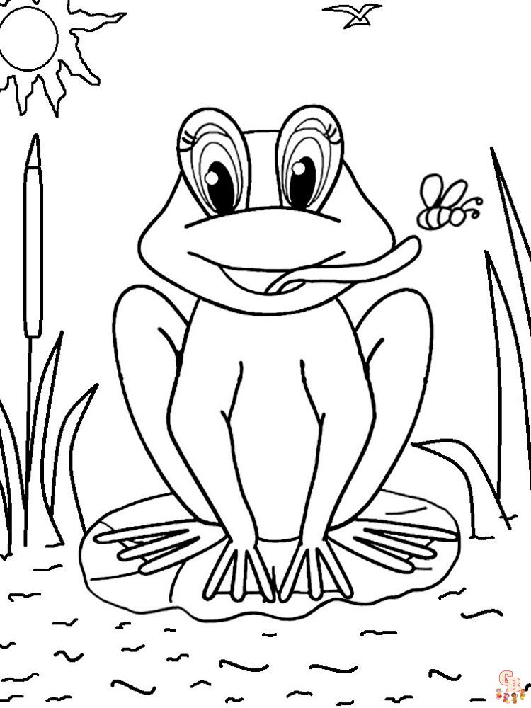 Frog coloring pages