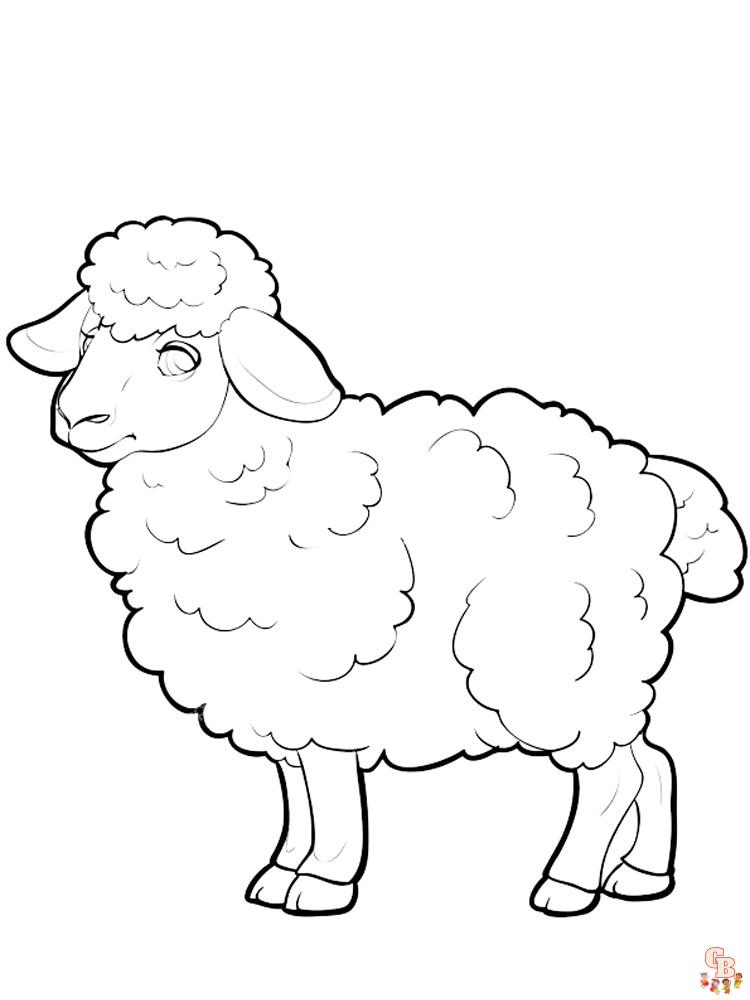 Sheep coloring pages