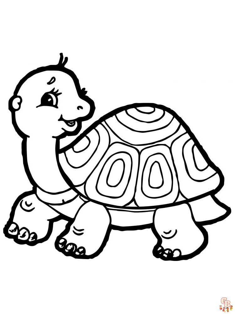 Tortoise coloring pages for kids to print 4