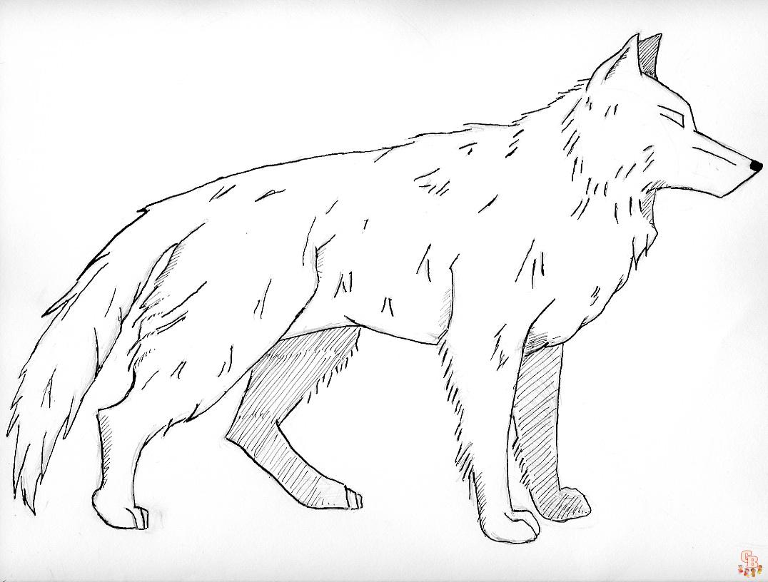 25+  Wolf coloring pages for kids 18