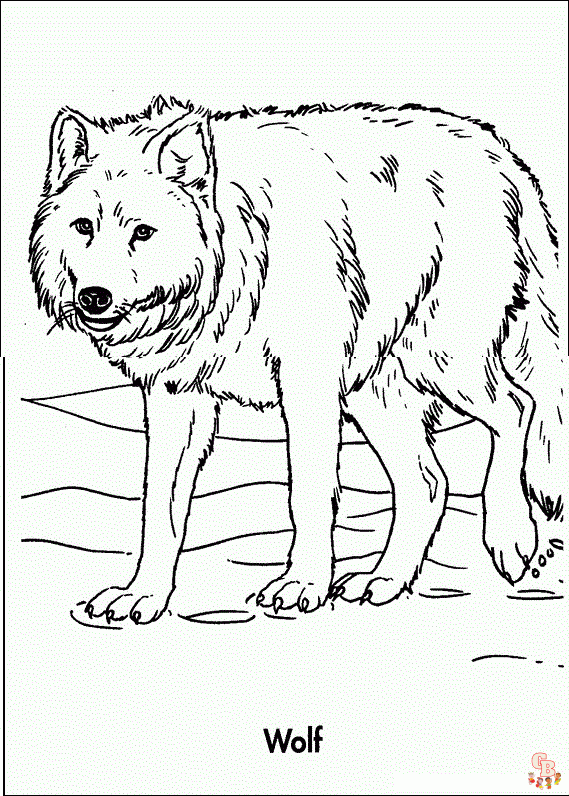 25+  Wolf coloring pages for kids 20