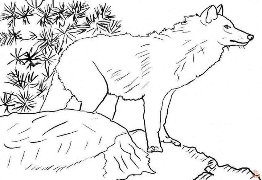 25+  Wolf coloring pages for kids 24