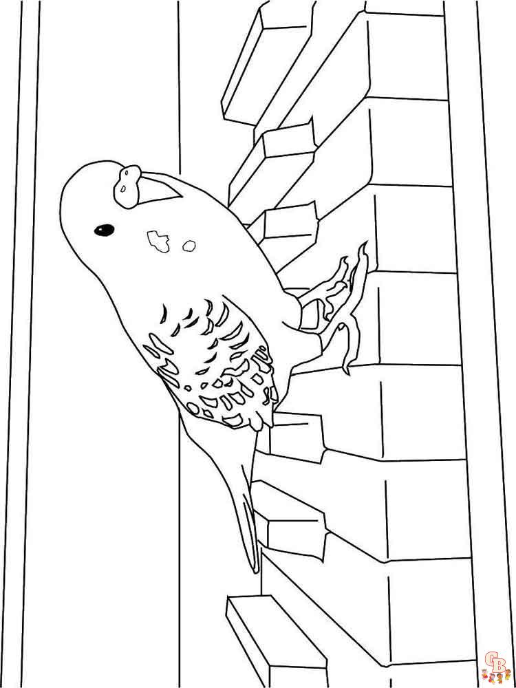 The best Parrot coloring pages 2023 2