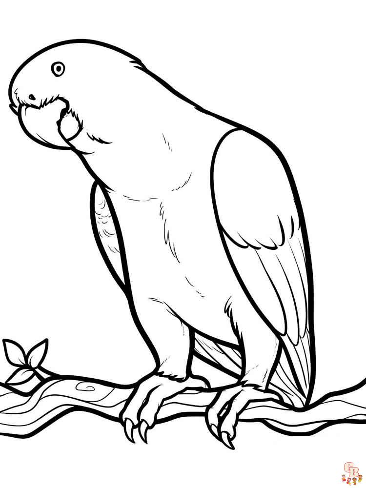 The best Parrot coloring pages 2023 12