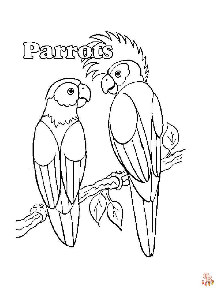 The best Parrot coloring pages 2023 13