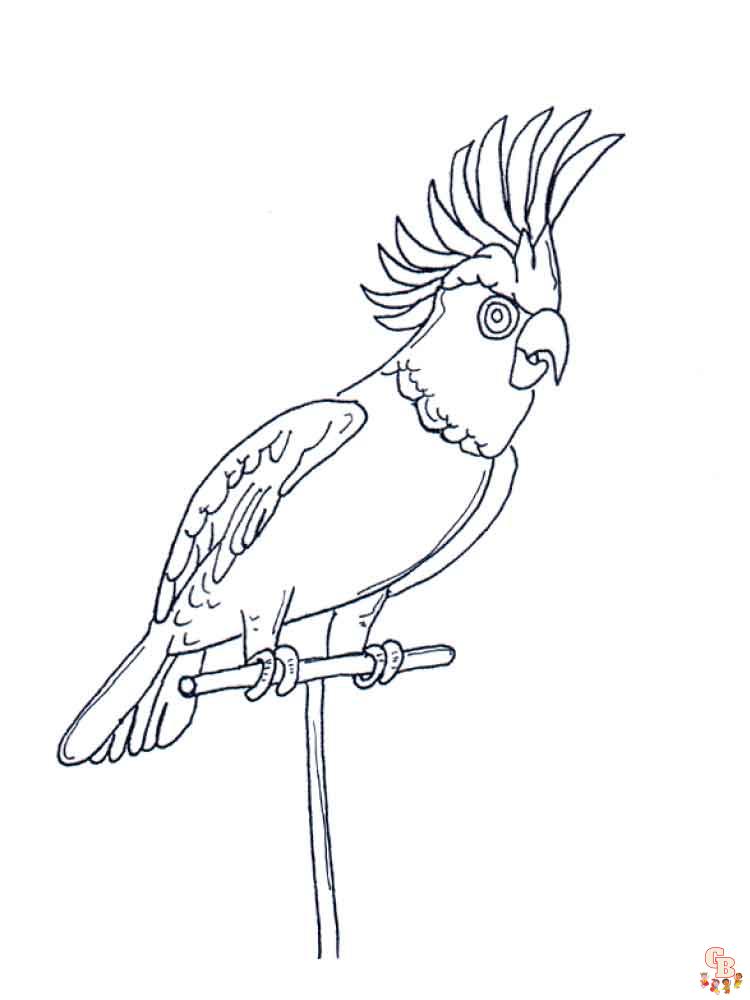 The best Parrot coloring pages 2023 14