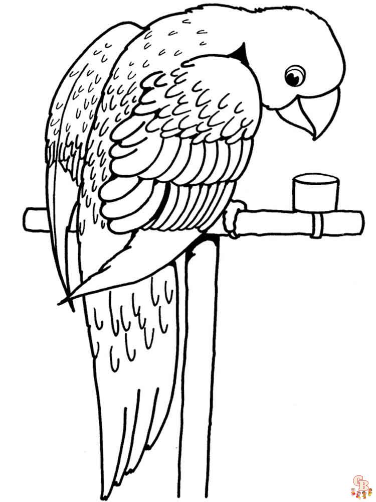 The best Parrot coloring pages 2023 16