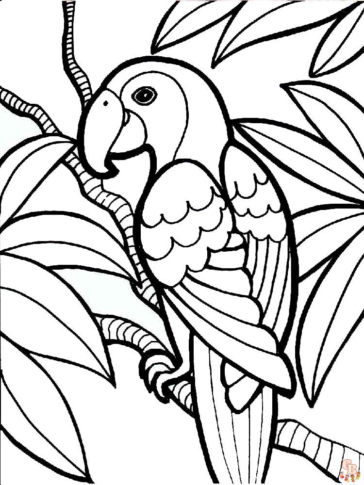 The best Parrot coloring pages 2023 4