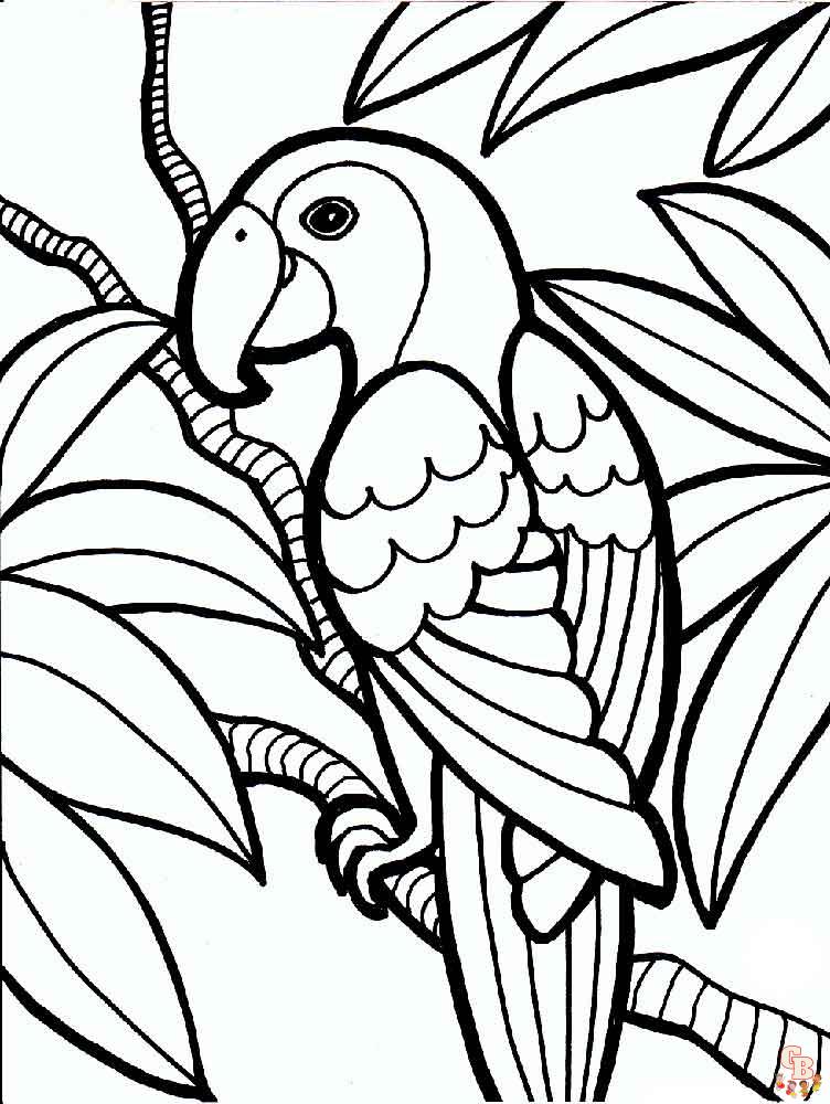 The best Parrot coloring pages 2023 19