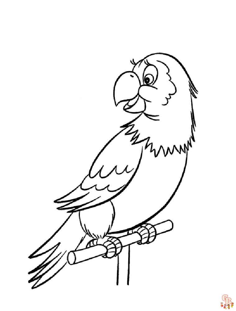 The best Parrot coloring pages 2023 20