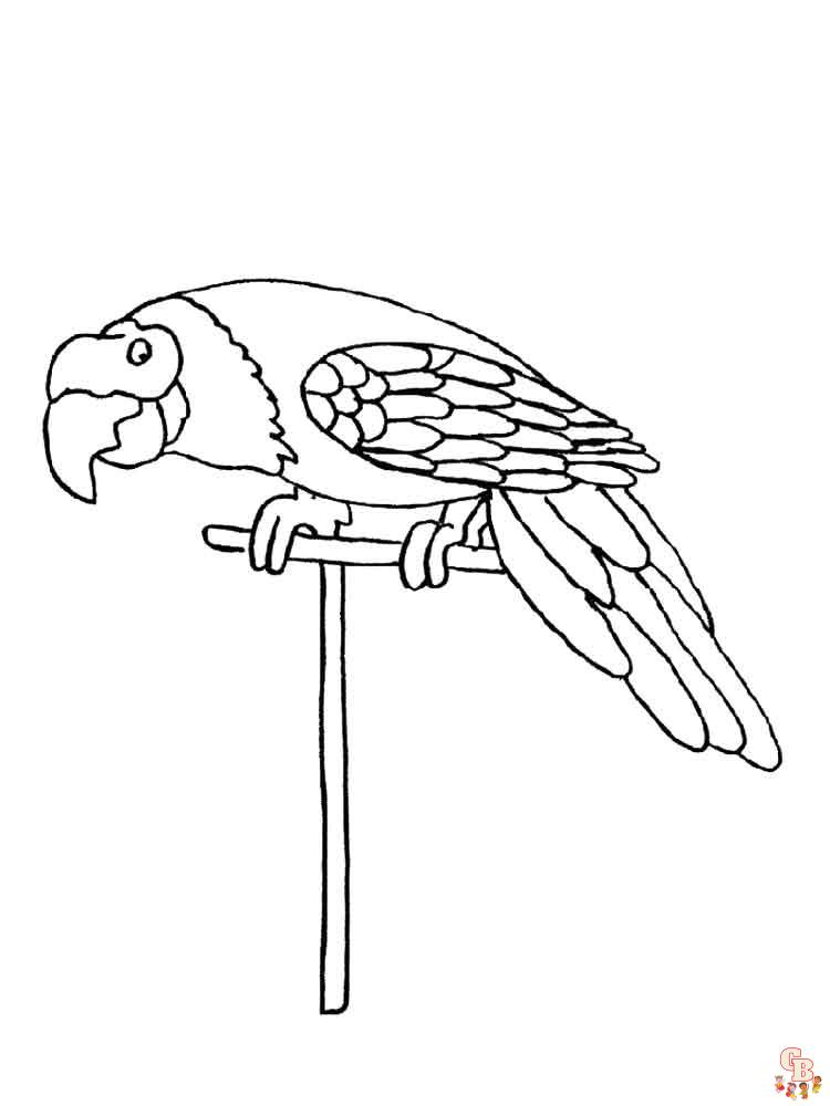 The best Parrot coloring pages 2023 5