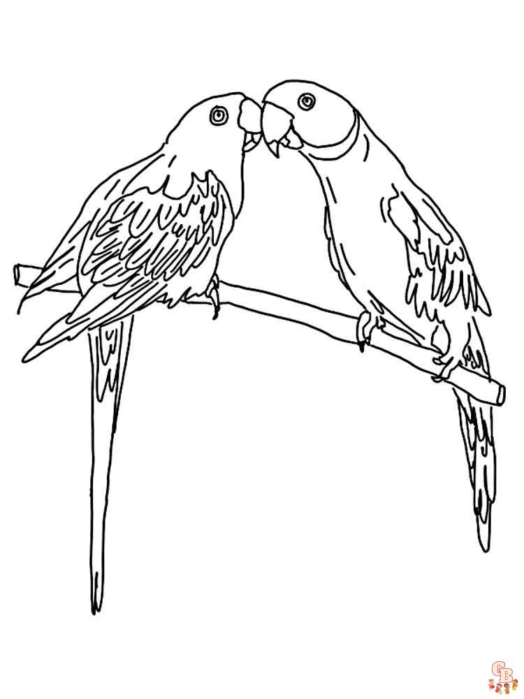 The best Parrot coloring pages 2023 24