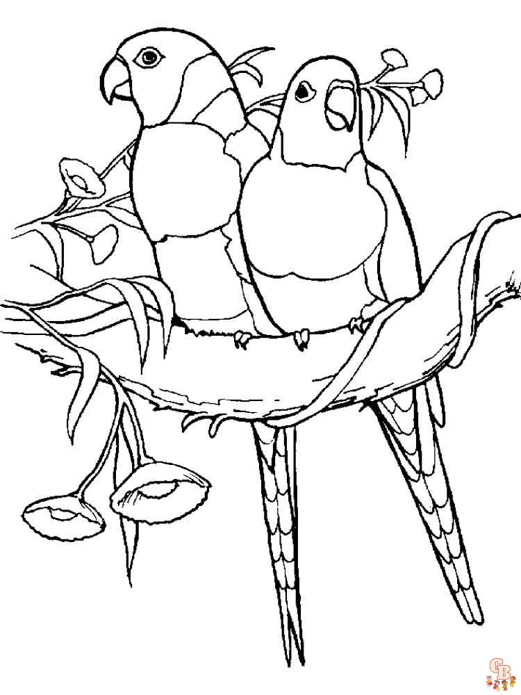 The best Parrot coloring pages 2023 26