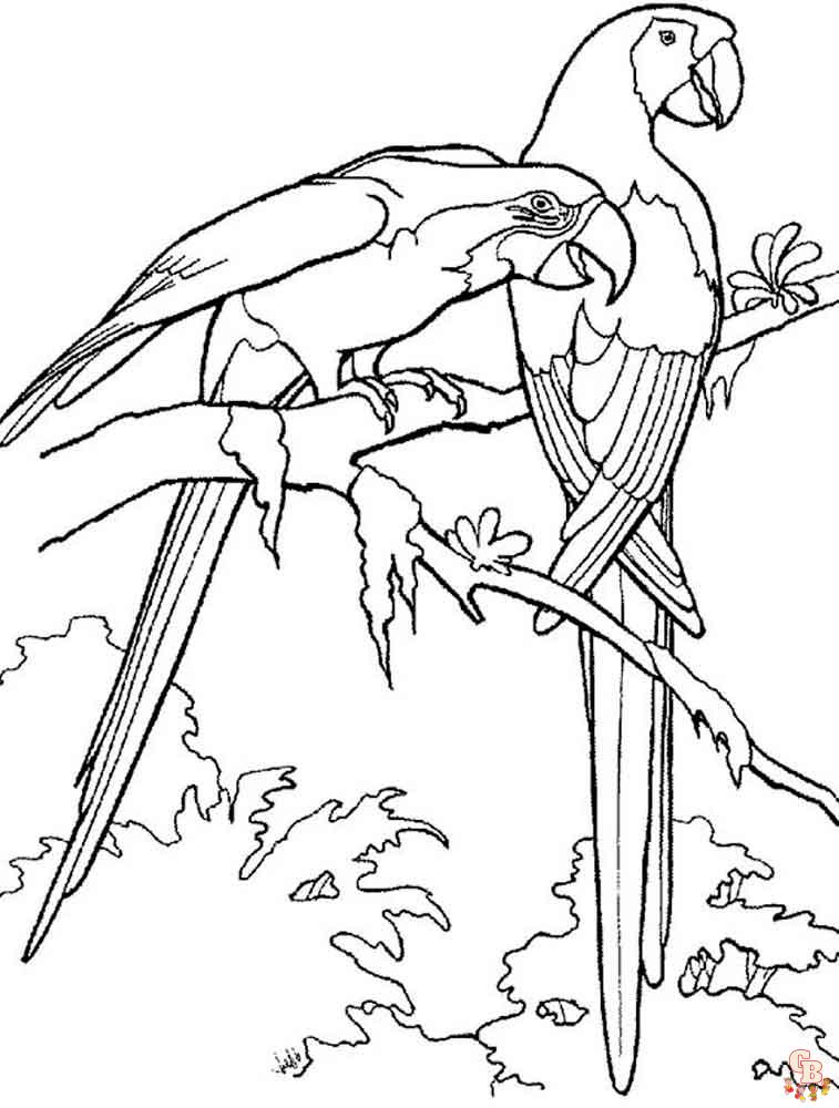 The best Parrot coloring pages 2023 30