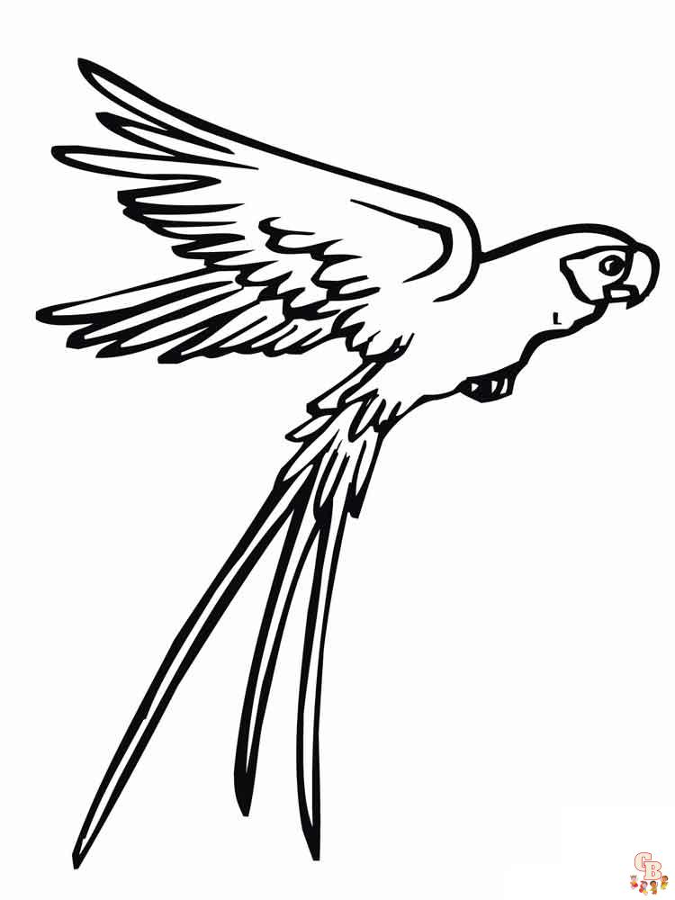 The best Parrot coloring pages 2023 6