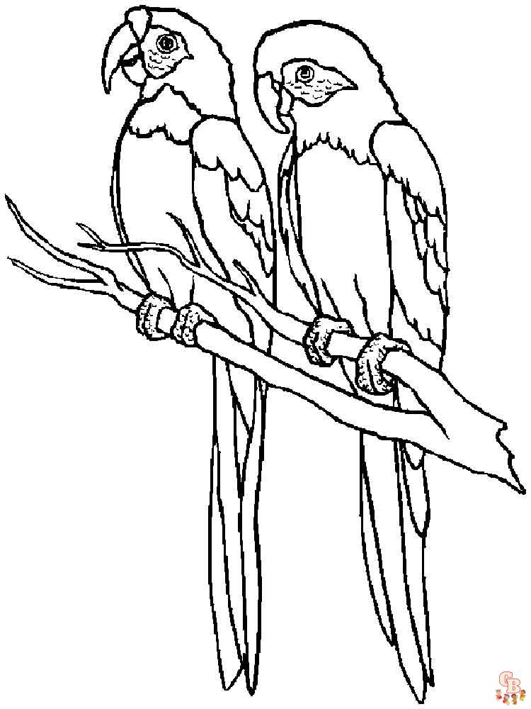 The best Parrot coloring pages 2023 33