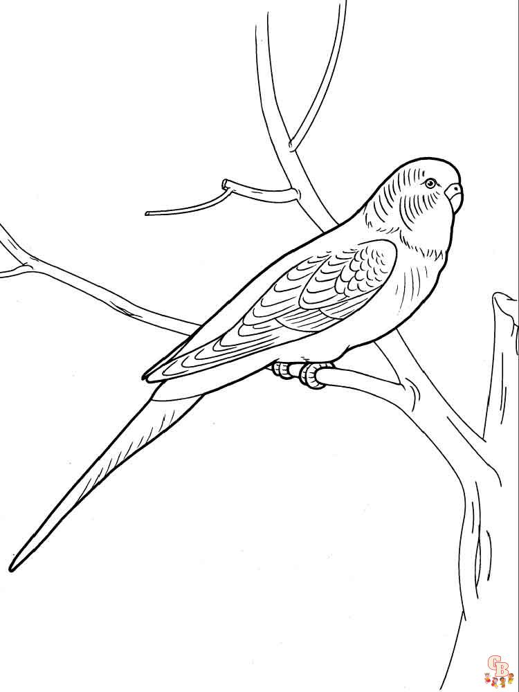 The best Parrot coloring pages 2023 37