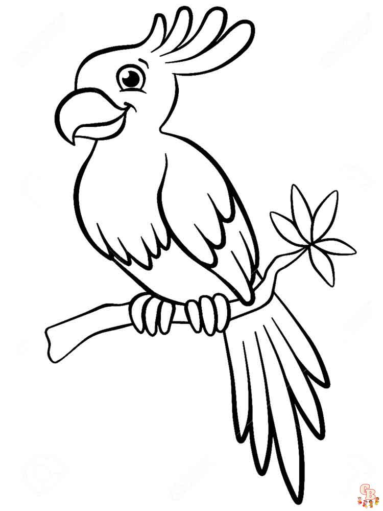 The best Parrot coloring pages 2023 7