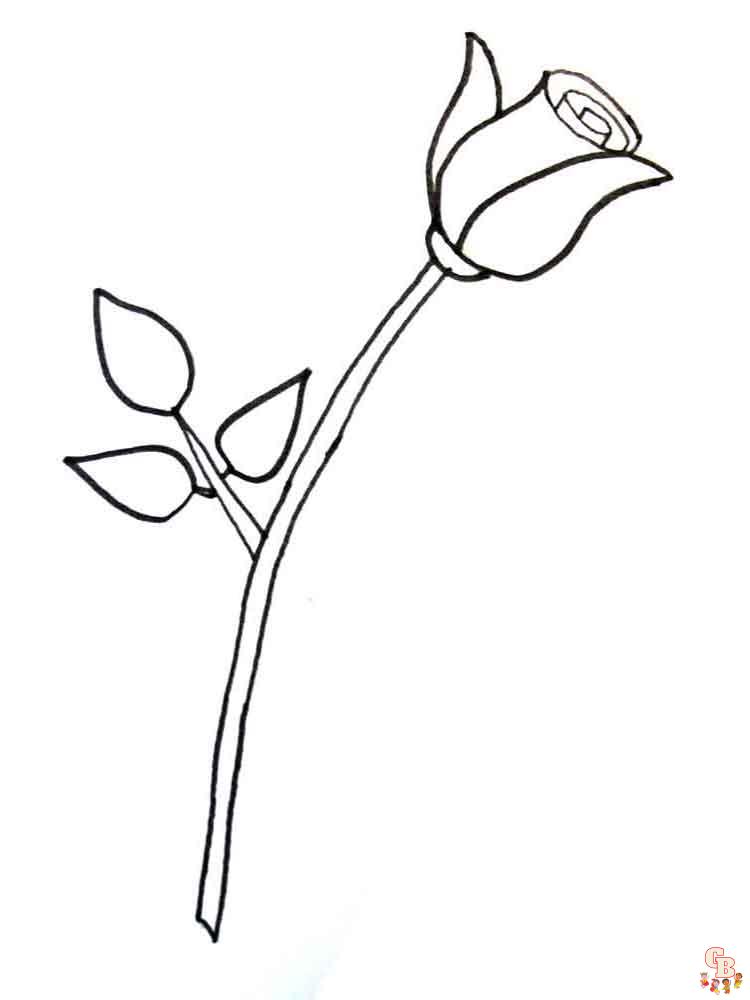 rose coloring pages 1