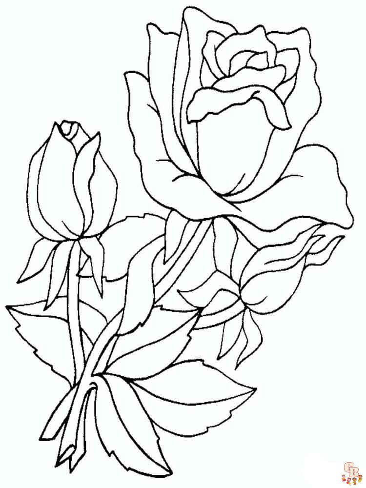 rose coloring pages 12