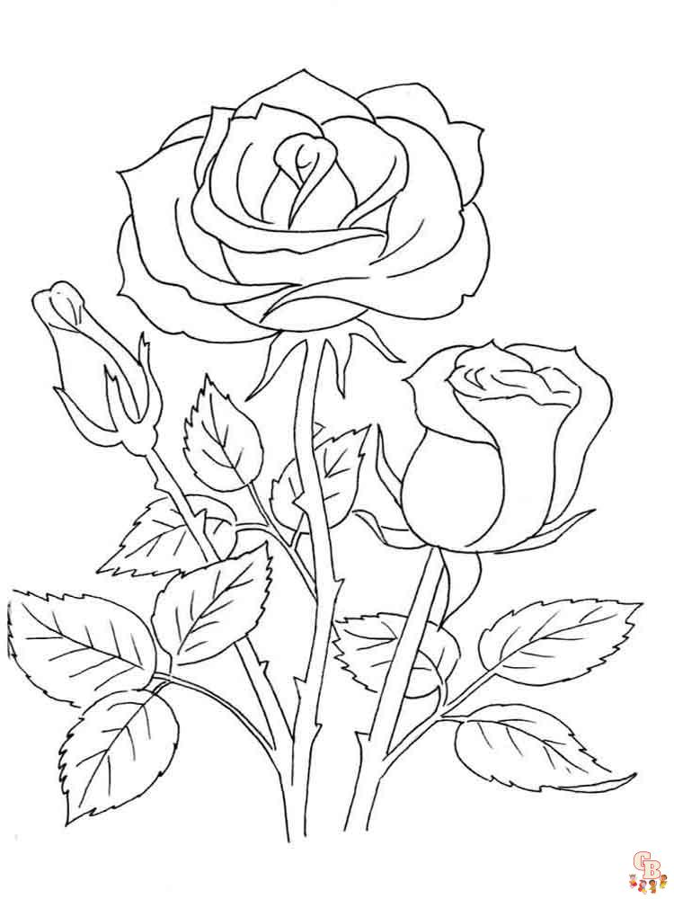 rose coloring pages 18