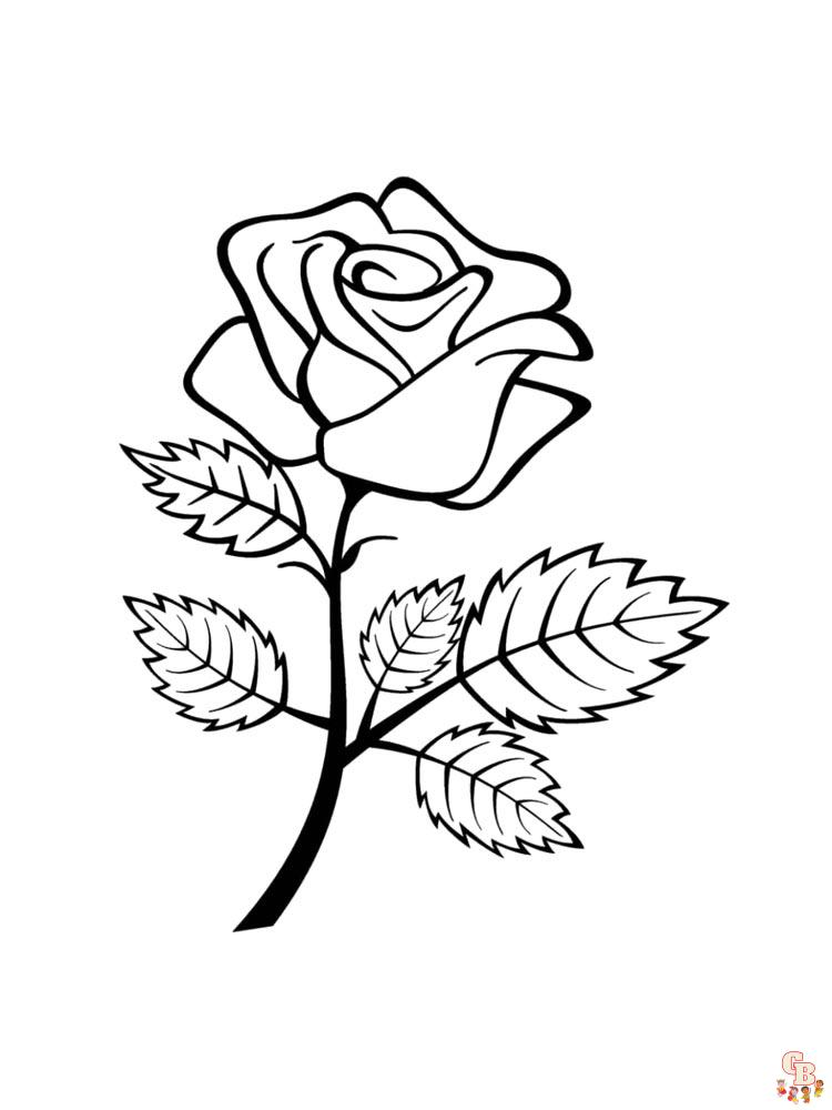 rose coloring pages 22