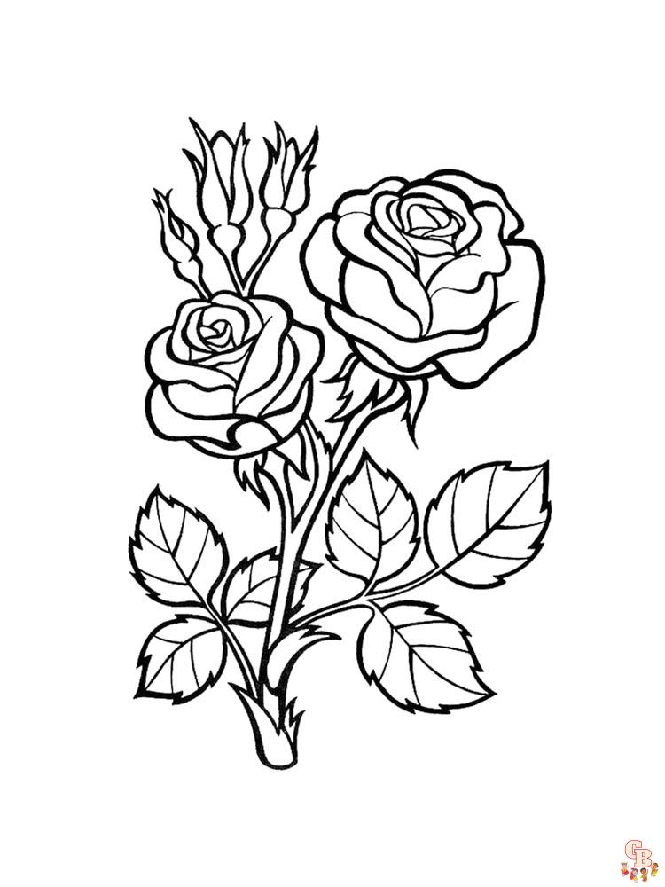 rose coloring pages 36