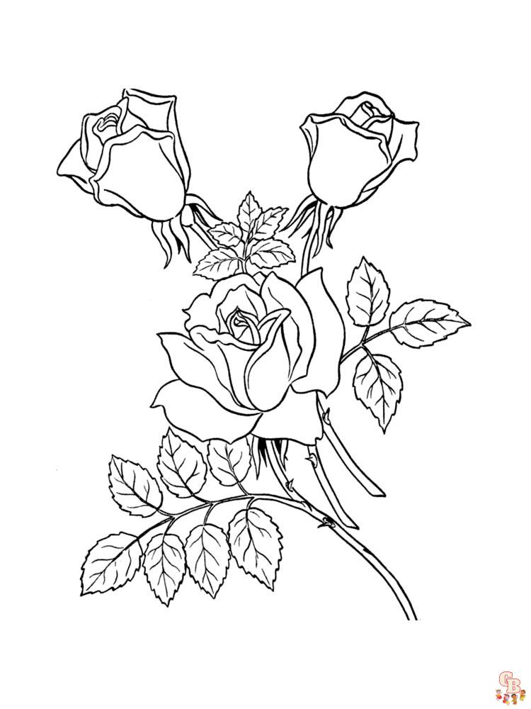 rose coloring pages 38