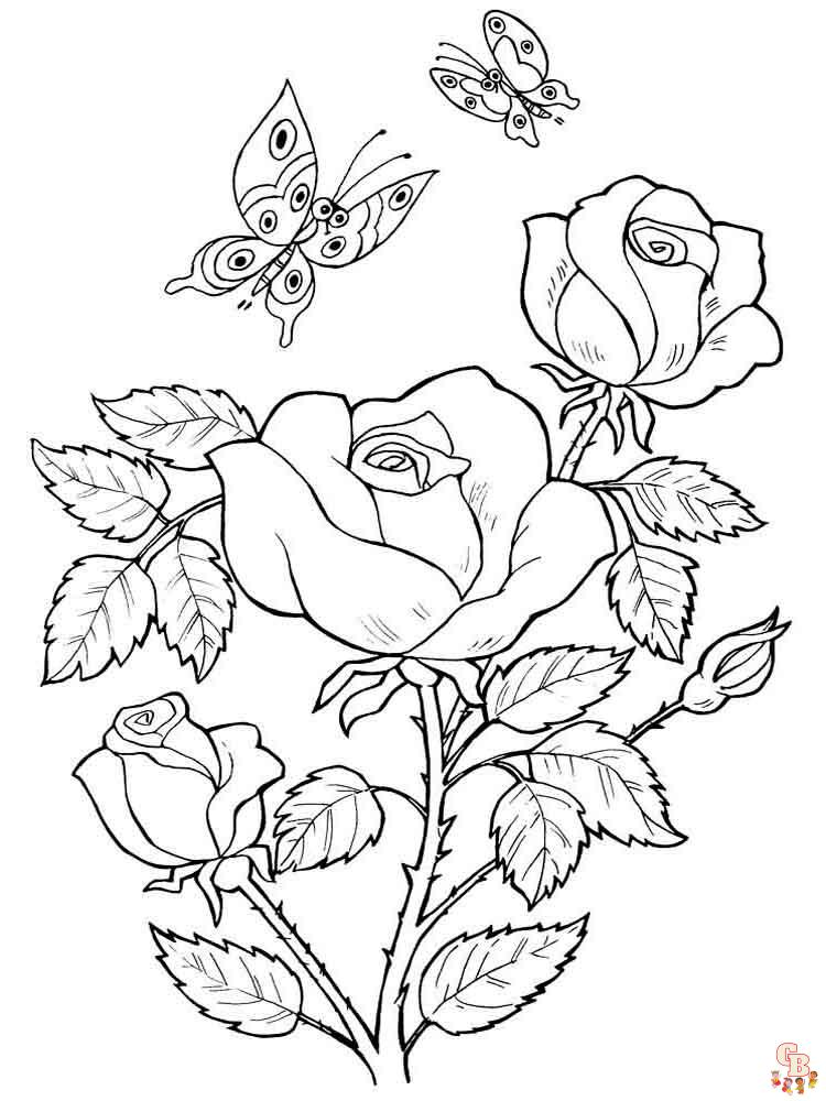 rose coloring pages 4