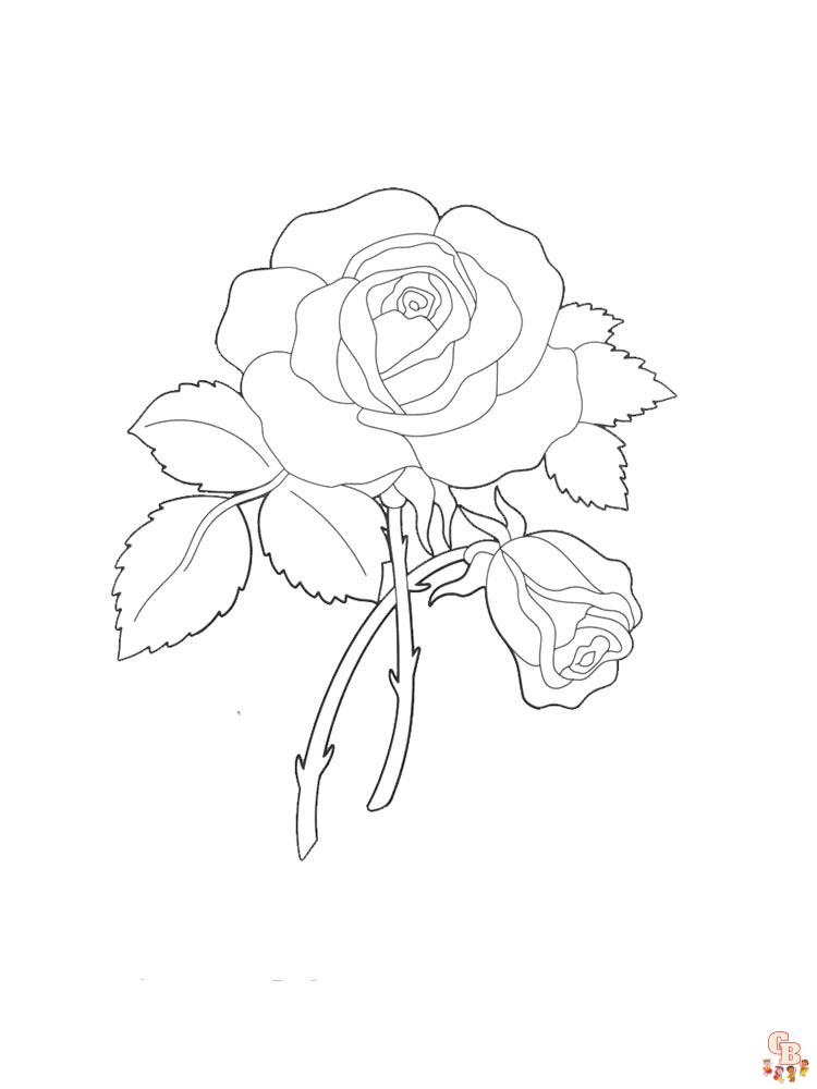 rose coloring pages 41