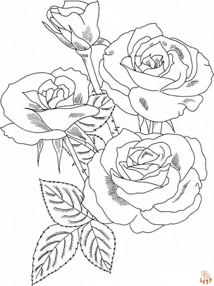 rose coloring pages 44