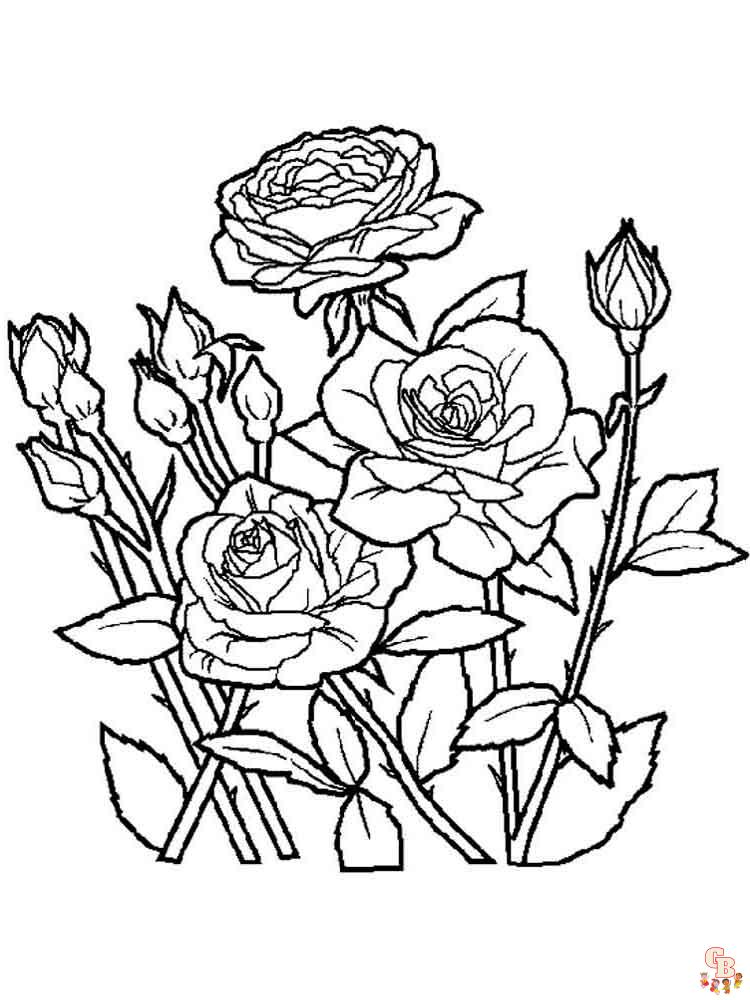 rose coloring pages 6