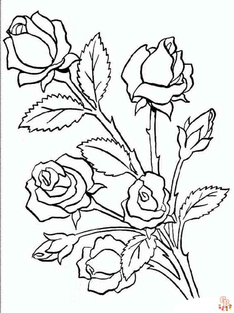 rose coloring pages 8