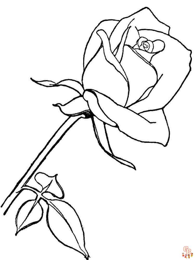 rose coloring pages 9