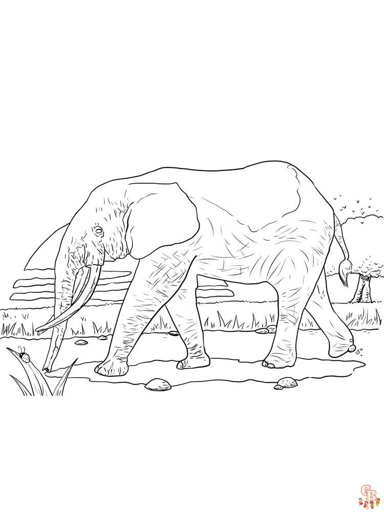 African Animals Coloring Pages 5