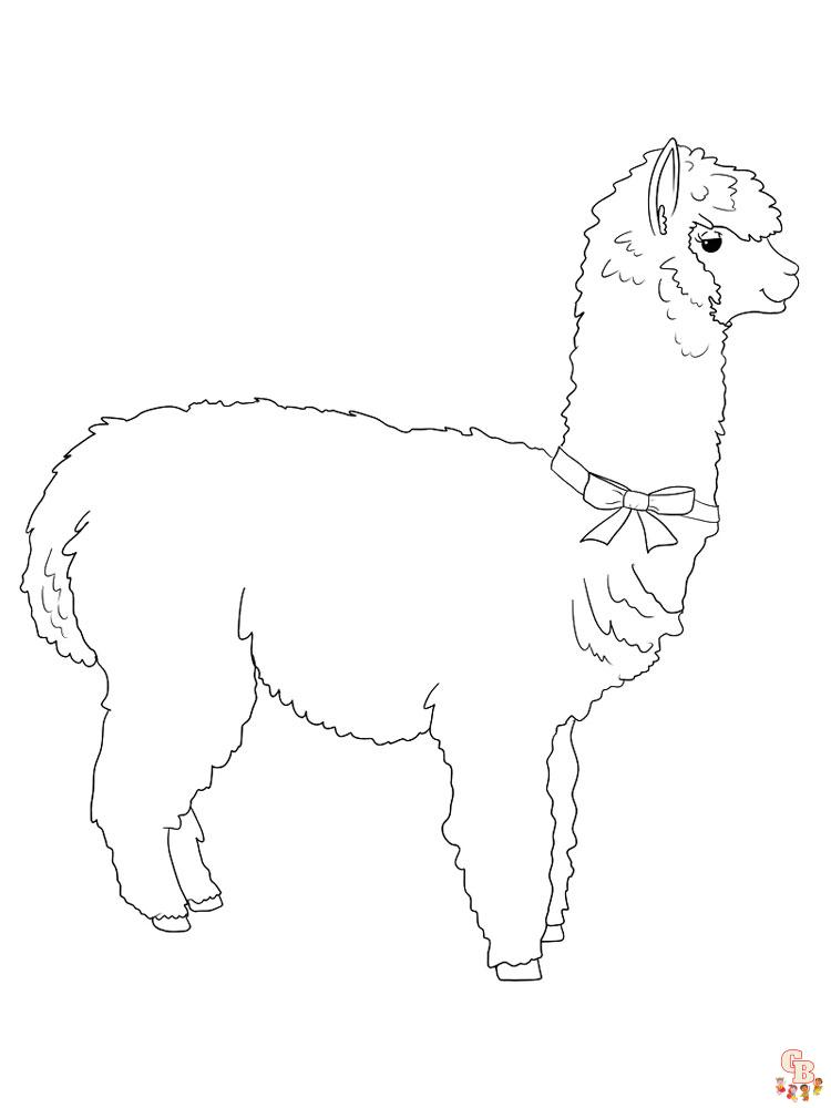 Alpaca Coloring Pages 1