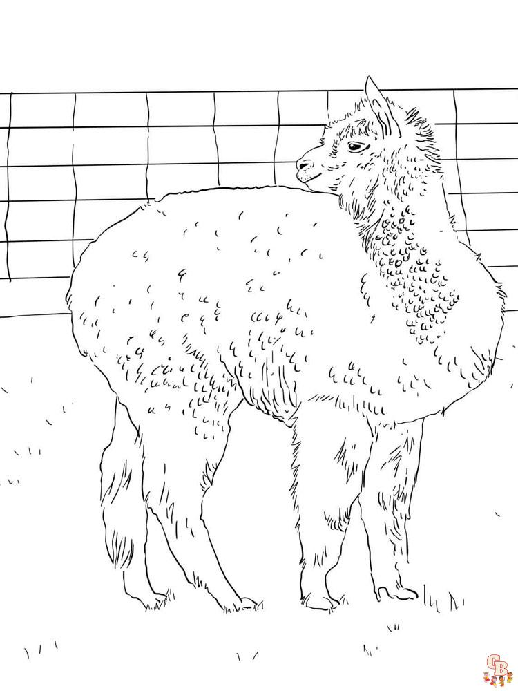 Alpaca Coloring Pages 5