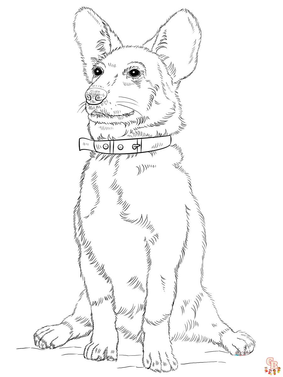 Corgi Coloring Pages 1