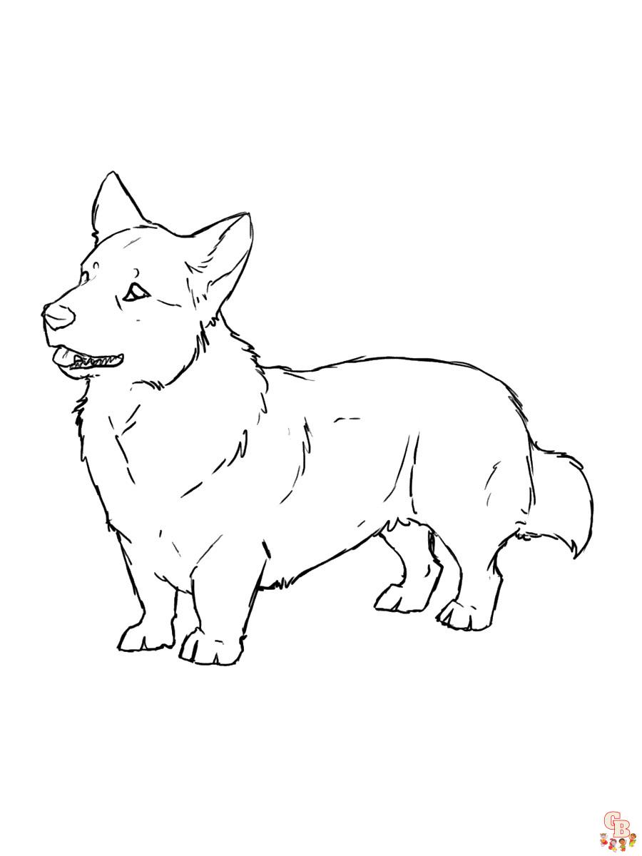 Corgi Coloring Pages 11