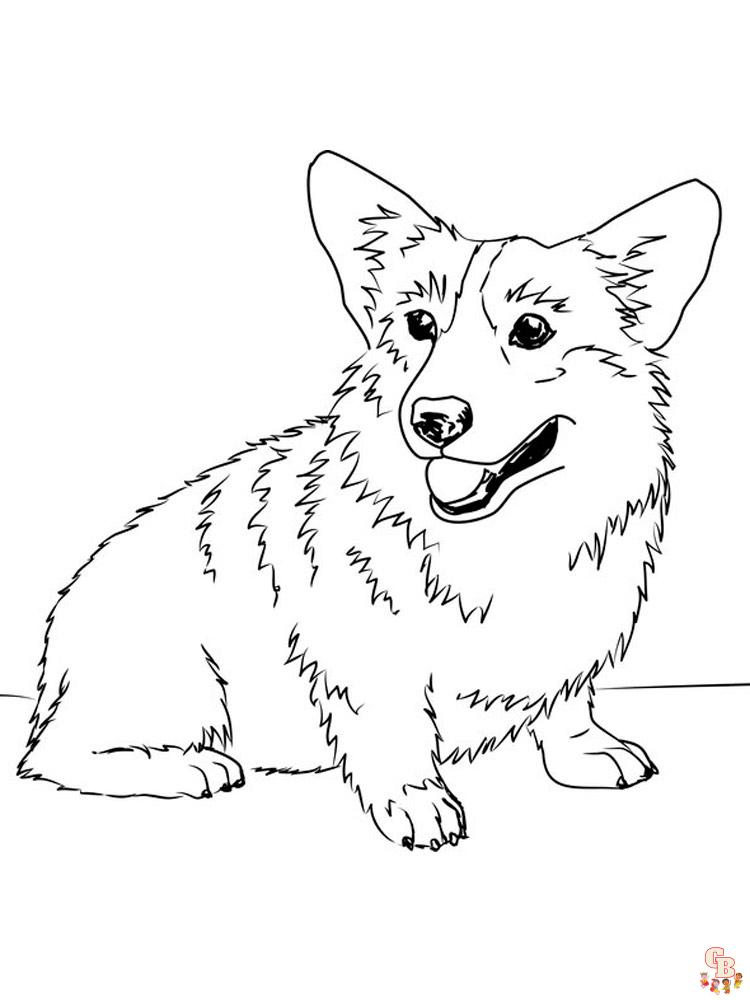 Corgi Coloring Pages 12