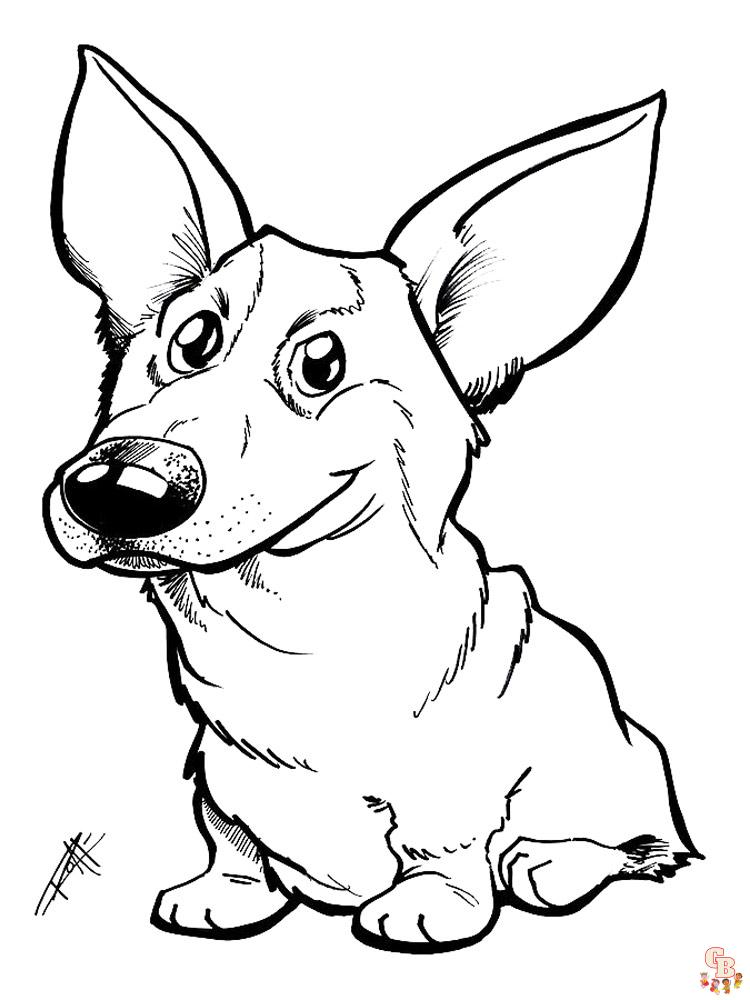 Corgi Coloring Pages 15