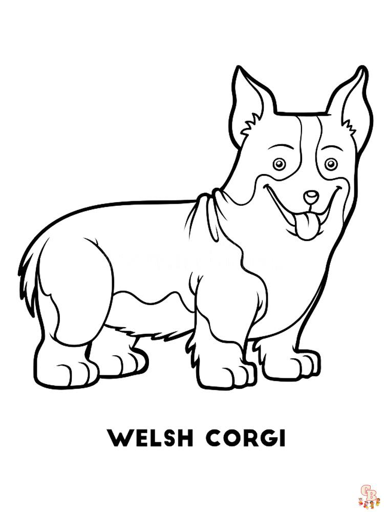 Corgi Coloring Pages 17