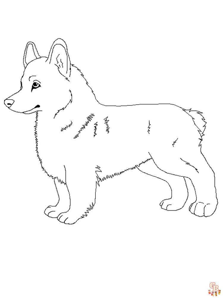 Corgi Coloring Pages 18