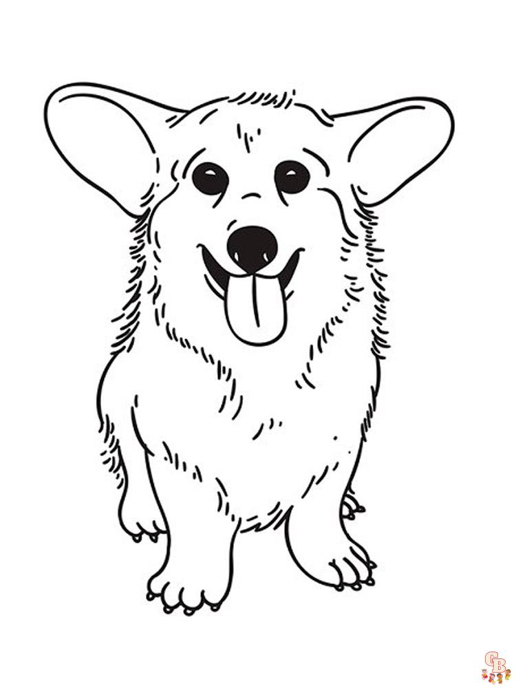 Corgi Coloring Pages 19