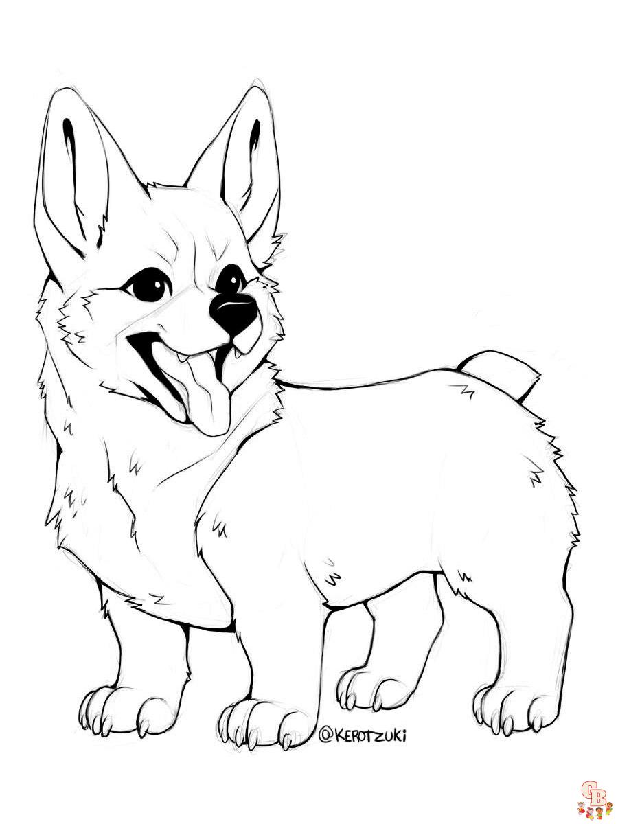 Corgi Coloring Pages 2