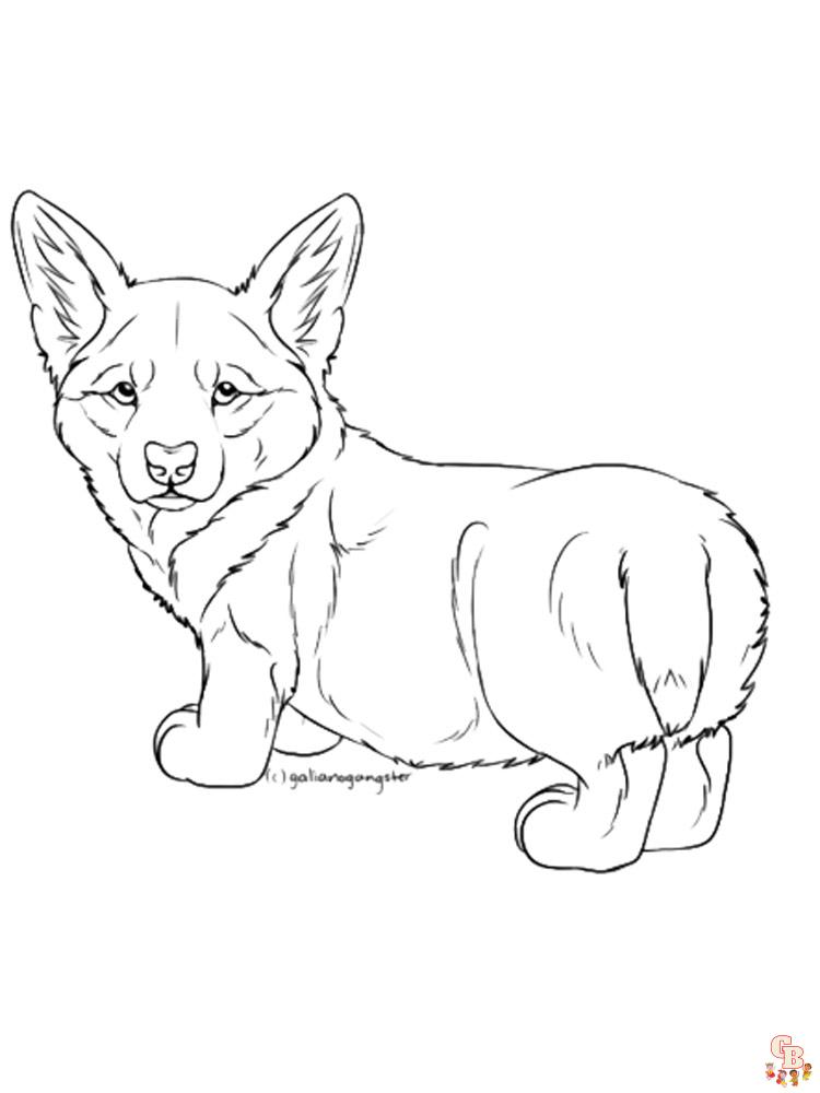 Corgi Coloring Pages 20