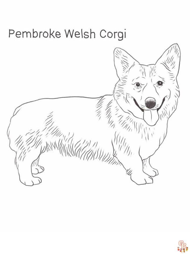 Corgi Coloring Pages 21