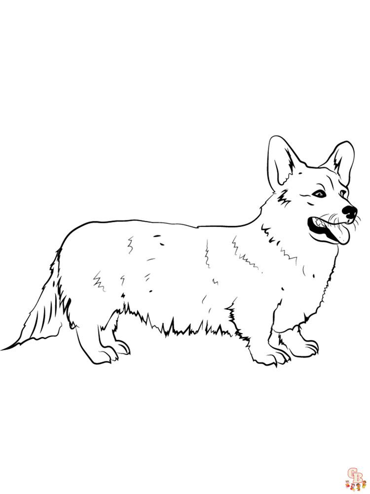 Corgi Coloring Pages 25