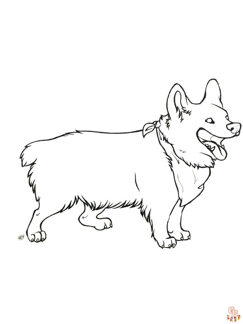 Corgi Coloring Pages 4